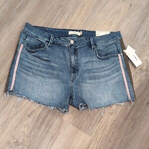 Unpublished Blue Denim Shorts